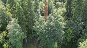 Гляденовская гора и святой источник Трифона чудотвореца