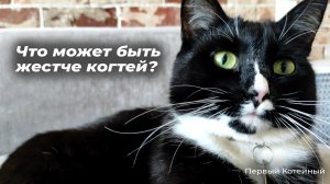 Что может быть жестче когтей?