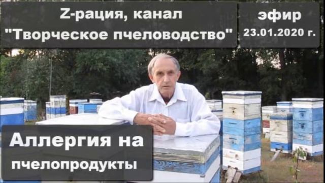 Аллергия на пчелопродукты. Z-рация, канал "Творческое пчеловодство" 23.01.2020 г. смотреть онлайн