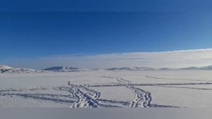 Озеро Банное(Якты-Куль) Башкирия Магнитогорск ? Банное обзор курорта. Банное где находится.Зима ❄