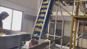Оборудование для производства картофельных чипсов