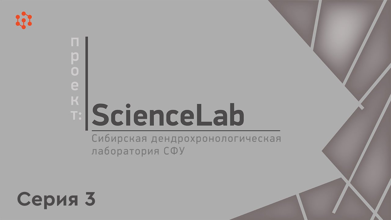 Проект ScienceLab Сибирская дендрохронологическая лаборатория СФУ (серия 3)