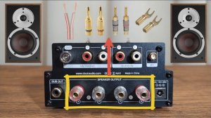 Douk Audio X1   TDA7498E  Amplificatore in classe D  con Valvole