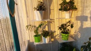 Полки для цветов своими руками