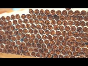 Что будет если выкупить 300 сигарет?