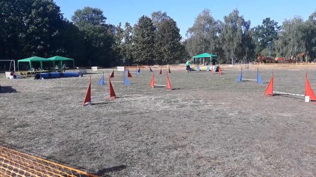 Первый старт Черри на СОРЕВНОВАНИЯХ С АДЖИЛИТИ смотреть онлайн