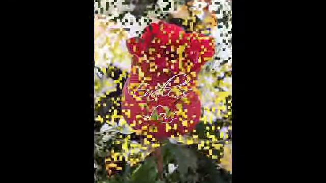 frukty nurika смотреть онлайн