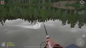 Русская рыбалка 4 - озеро Куори - Форель севанская на топвотеры