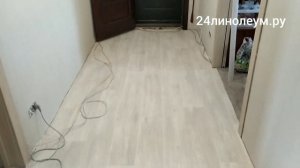 Линолеум Идеал Ультра Колумб 4. как смотрится в коридоре.