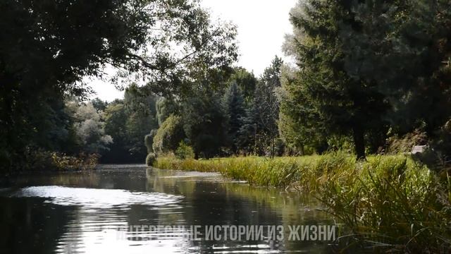 В ЕЁ ТРУСАХ МЕНЯ ЖДАЛ СЮРПРИЗ. Измена жены. Жизненные истории и аудио рассказы смотреть онлайн