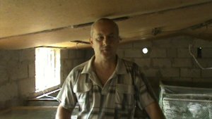 Как  избежать расклёва у цыплят .