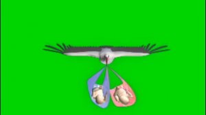 Футажи Роддом - Аисты на зеленом фоне скачать бесплатно