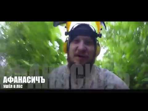 ВЫПИЛКА УЧАСТКА СВОИМИ РУКАМИ. ГЕКТАР. С НУЛЯ.
