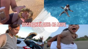 Последний день НА МОРЕ / ДЕЛЬФИНЫ нас провожают ?