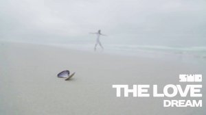 Dream | Adam Naas - The Love | rework: PROfan
