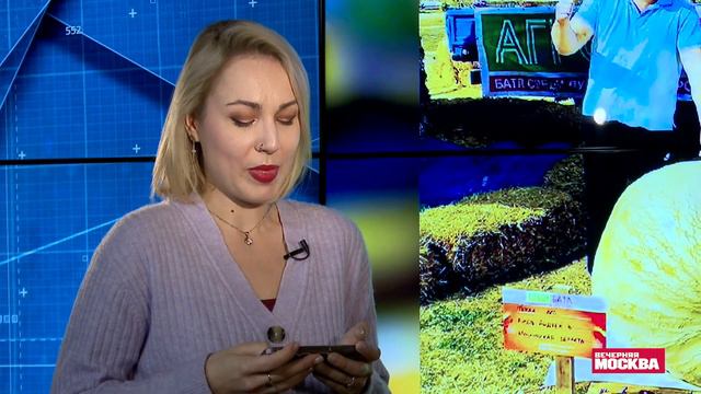 Чемпионат по лени и удивительная кража iPhone | Вне эфира смотреть онлайн