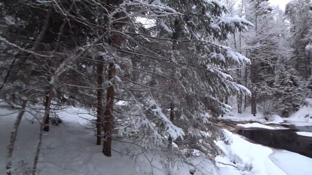 Линдуловская роща