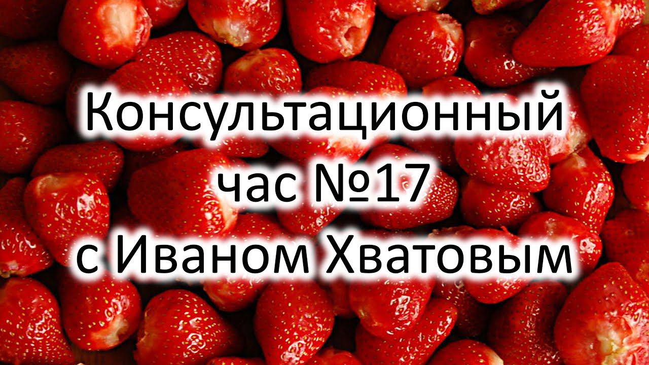 Консультационный час 17 (6 апреля 2023)