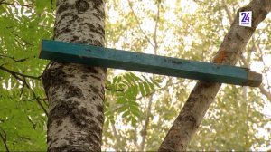 В Сургуте дети построили своими руками домик на дереве