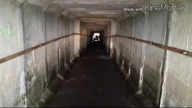 Квадроклуб Гризли Ульяновск2 смотреть онлайн