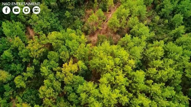 Красивая расслабляющая музыка для снятия стресса ? Исцеляющая музыка для сердца и сосудов #7 смотреть онлайн