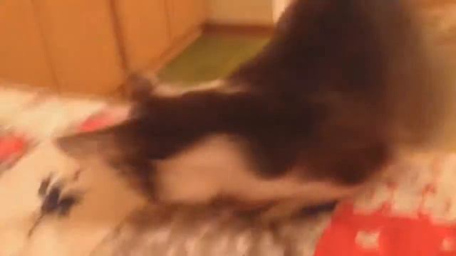 Иван, Барнаул, Алтайский Край смотреть онлайн