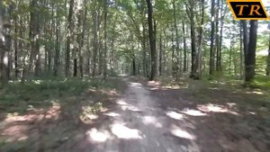 Самодельный картинг # Покатались по лесу( GoPed TRQ-DIY )