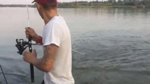 Ловля Карпа на реке Дон в Аксай