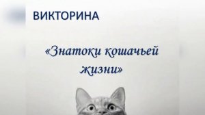 Познавательно-развлекательная программа "Котомания в библиотеке" (ко Дню кошек в России)