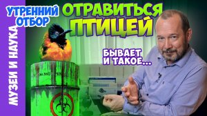 Два вида птиц пополнили список ядовитых животных. Ядовитые птицы далекие и близкие. Игорь Фадеев