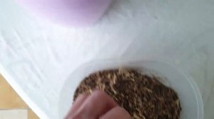 Удобрение из банановой кожуры! Спасаю орхидею?