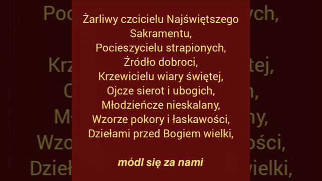 𝗟𝗶𝘁𝗮𝗻𝗶𝗮 𝗱𝗼 𝗦́𝘄. 𝗪𝗮𝗰ł𝗮𝘄𝗮 смотреть онлайн