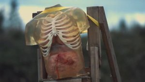 9mm vs 45 ACP, WE END THE DEBATE. The Human Torso Test.