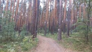 Санаторий Курорт Самоцвет. Вечерняя ДИСКОТЕКА.