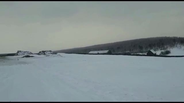 О забое баранов ▶ Мнение о породе эдильбаевских и гиссарских овец