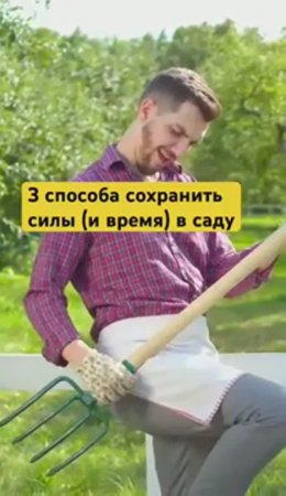 3 причины НЕ ДЕЛАТЬ эти работы в саду (и сохранить свои силы)