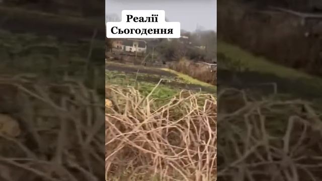 Очередной водитель Леопарда на Украине