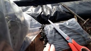 Внутренние края теплицы без сорняков