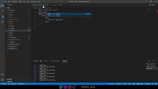 50. CSS in Next JS || Brainy Bhai