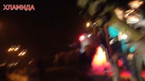 Хламида- 60 часов