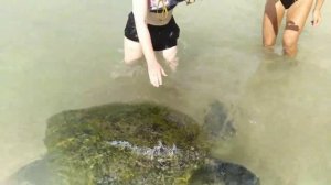 Sri Lanka. The Long Beach Resort 4* обзор отеля, номера, еда, что рядом находится.