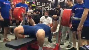 Кирилл Сарычев жим лежа 330кг SN Pro 2015