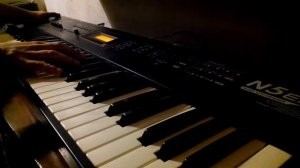 GATIVIDEO - FLASH KORG N5ex