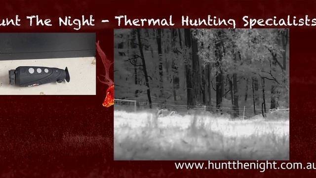 Introduction to the all new InfiRay Eye II 6+ V3 thermal monocular with ben from huntthenight.com.a смотреть онлайн
