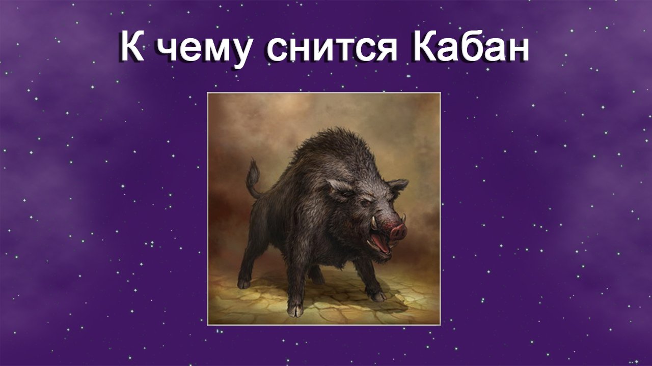 Сонник к чему снятся свиньи живые. Приснился кабан. К чему снится кабан. Во сне кабан приснилась. К чему снится кабан дикий.