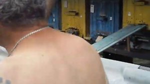 Миролюбивые пчёлы породы Бакфаст