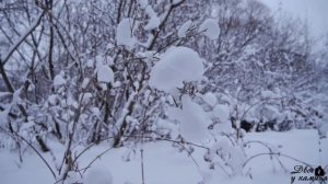 28 января - ОПАСНЫЙ Павлов день. Что можно и что нельзя 28 января. Традиции, обряды, приметы.