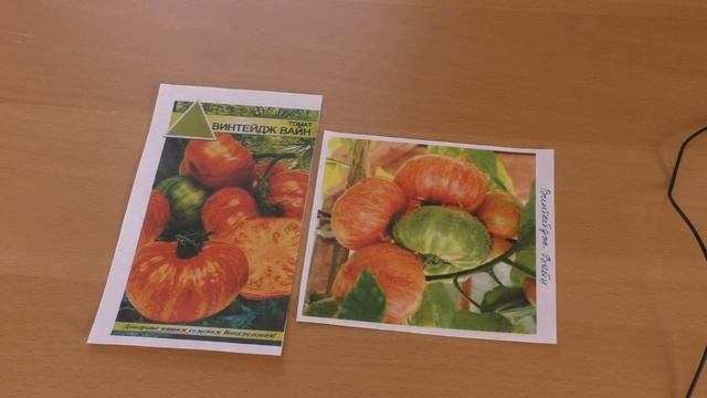 Помидоры для открытого и закрытого грунта смотреть онлайн