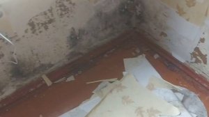 Наводим марафет избавляемся от плесени.