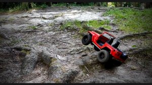 Axial scx10 JEEP Wrangler JK едем по лесу 25.07.2021